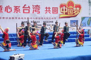 雨花区举行台湾文化艺术节活动